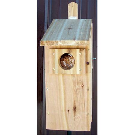 STOVALL Wood Screech Owl Box SP6H